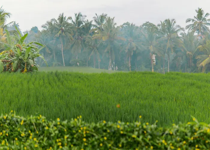 Griya Mandara Bali Rice Field Privat Pool Villa Ubud