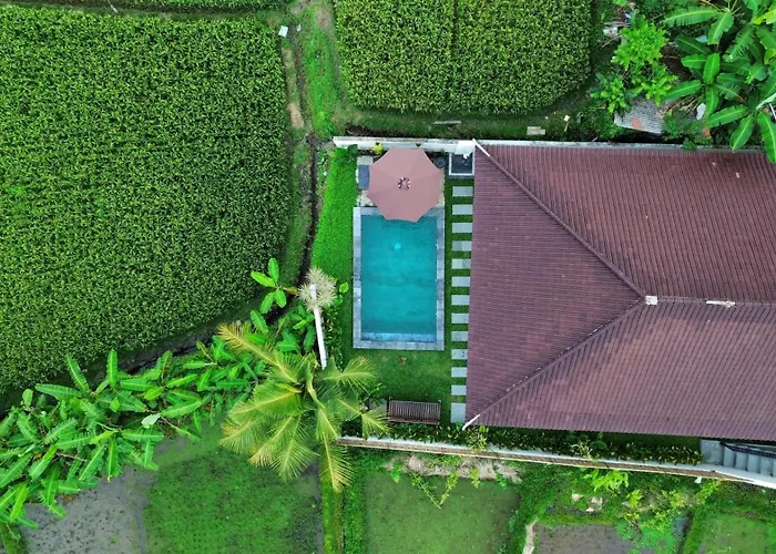 Villa Griya Mandara Bali Rice Field Privat Pool *